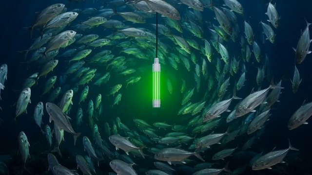Amazon.co.jp: Goture 水中集魚灯 126LED 13W 12V IP68完全防水 高輝度